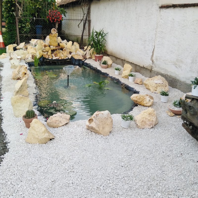 Géczi Bernadett kertje 02